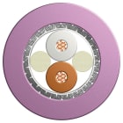 BIZLINK - Autom.kaapeli CAN BUS UL - 1X2X0,34 VIO L45551-P21-C8