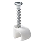 SCHNEIDER ELECTRIC - Ruuvikiinnike Thorsman - TCX-C3 18-22 Torx Valkoinen