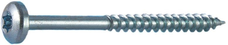 ETRA - Yleisruuvikupukanta - TORX255x60ZN100kpl
