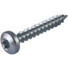 ETRA - Yleisruuvikupukanta - TORX204x20ZN100kpl