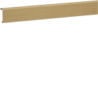 HAGER - Asennuslistan kansi tehalit.SL - SL200552 PVC SL20x55x2000 VAAH