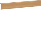 HAGER - Asennuslistan kansi tehalit.SL - SL200552 PVC SL20x55x2000 TAM