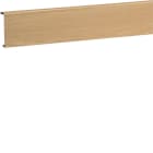 HAGER - Asennuslistan kansi tehalit.SL - SL200802 PVC SL20x80x2000 TAM