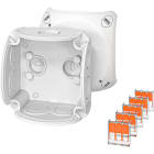 HENSEL - Jakorasia - DK 0102 W IP66 Wago 221-413