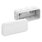 SPELSBERG - Jakorasia - 2K-Mini-L/w