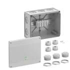 SPELSBERG - Jakorasia - Abox HA 250