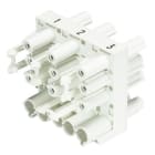 WIELAND - 5-nap haaroitin - Haaroitin gesis CON
