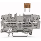 WAGO - Sulakeliitin TOPJOB S - 2-Nap, mini autosulake (50 kpl.)