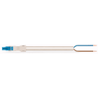 WAGO - Pistoliitinjohtosarja WINSTA DALI - 2-nap naaras/vapaa 2x1,5mm, 1m