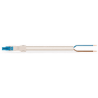 WAGO - Pistoliitinjohtosarja WINSTA DALI - 2-nap naaras/vapaa 2x1,5mm, 3m