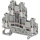SCHNEIDER ELECTRIC - Riviliitin 2krs 4mm2 - NSYTRV44D