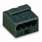 WAGO - Rasialiitin 243-204 - 4-Nap,HAR,0.6-0.8 mm² Ø 100 kpl
