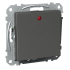 SCHNEIDER ELECTRIC - Vipupainike Exxact - 6T/16A/IP21 2X UKJ LED ant
