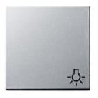 GIRA - Symbolilla valo ALU - Gira Vipu system 55