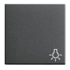 GIRA - Symbolilla valo ANT - Gira Vipu system 55