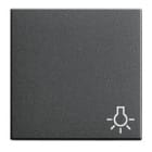 GIRA - Symbolilla valo ANT - Gira Vipu system 55