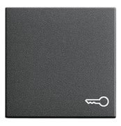 GIRA - Symbolilla Avain ANT - Gira Vipu system 55