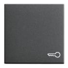 GIRA - Symbolilla Avain ANT - Gira Vipu system 55