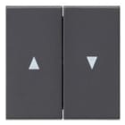 GIRA - 2os. Symbolilla nuoli ANT - Gira Vipu system 55