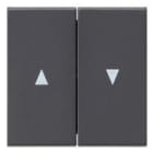 GIRA - 2os. Symbolilla nuoli ANT - Gira Vipu system 55