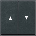 GIRA - Vipu 2 os. Nuoli symb ANT - Gira-TX 44