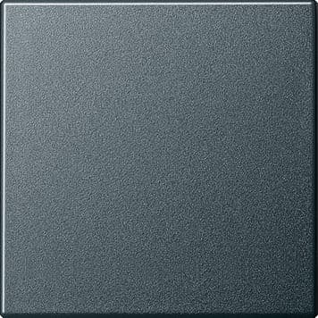 GIRA - Vipu Antrasiitti - Gira System 55