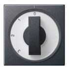 GIRA - nupilla 3 asent. kytk. ANT - Gira Päällyskuori