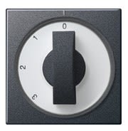 GIRA - nupilla 3 asent. kytk. ANT - Gira Päällyskuori