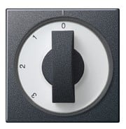 GIRA - nupilla 3 asent. kytk. ANT - Gira Päällyskuori