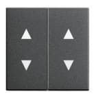 GIRA - 2os. Nuoli symboleilla ANT - Gira Vipu system 55