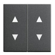 GIRA - 2os. Nuoli symboleilla ANT - Gira Vipu system 55