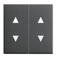 GIRA - 2os. Nuoli symboleilla ANT - Gira Vipu system 55