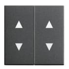 GIRA - 2os. Nuoli symboleilla ANT - Gira Vipu system 55