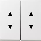 GIRA - Vipu 2 os. Nuoli symbolit VAL - Gira F100