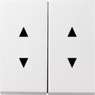 GIRA - Vipu 2 os. Nuoli symbolit VAL - Gira F100