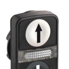 SCHNEIDER ELECTRIC - Kaksoispainike - ZB5AW7A1724