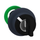 SCHNEIDER ELECTRIC - Avainvään taso 2-as O>V - ZB5FG6D