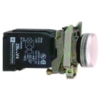 SCHNEIDER ELECTRIC - Valopainike muuntajalla 230VAC - XB4BV41 VAL BA9S