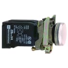 SCHNEIDER ELECTRIC - Valopainike muuntajalla 230VAC - XB4BV41 VAL BA9S