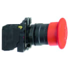 SCHNEIDER ELECTRIC - HÄTÄ-SEIS-painike vetopalautus - XB5AT845 1s 1a PUN 40mm