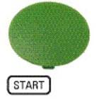 EATON - Painikekilpi Eaton - M22-XDP-G-GB1 sienipain. vihr.