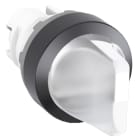 ABB - Valintavalokytkin ei-palautuva - M2SS1-11C kirkas 0-1