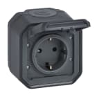 LEGRAND - Pistorasia - 1S/16A/IP55 PPR ANT