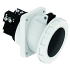 BALS - Pistorasia uppo-vino - 12065 3PNE 125A-5h 690V IP 67