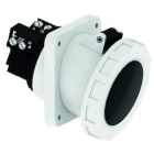 BALS - Pistorasia uppo-vino - 12065 3PNE 125A-5h 690V IP 67