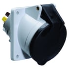 BALS - Pistorasia,uppo-vino 85x85mm - 12864 3PE 16A-7H 500V IP44, QC