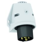 BALS - Kojevastake,pinta - 24539 3PE 16A-7H 500V IP44, QC