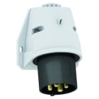 BALS - Kojevastake,pinta - 24540 3PE 32A-7H 500V IP44, QC