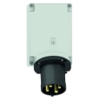 BALS - Kojevastake,pinta - 24339 3PE 63A-7H 500V IP44