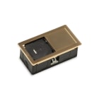 LIMENTE - Pistorasia - MONO-1+USB pistor. kulta matta